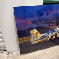 Peter Lik «Velocity» Airplane Aviation HUGE 6.5 Feet (2M) Picture with COA