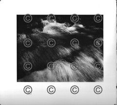 BOOK PLATE B&W Photo MORLEY BAER Logs in Coldwater Crk / Coldwater Creek 9X9.5″