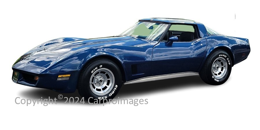 1981 Chevrolet Corvette Limited Edition Print 8″ x 10″ Photo GREAT GIFT IDEA B