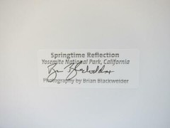 Springtime Reflection Yosemite – 11×14 Photograph signed Brian Blackwelder – #12