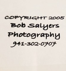 Signed Bob Salyers Heron & Egret Wildlife Photo Prints Pair 11×14 2005 Matted