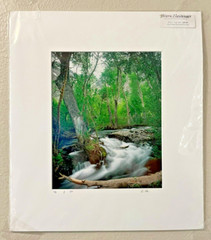 New Vern Clevenger »McGee Creek Springtime» Photograph Signed 10″ x 8» Read