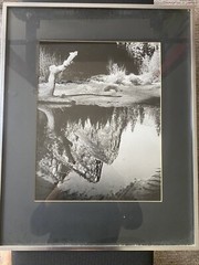 KARL BONFERT handprinted and signed photograph «Reflection Pool” Yosemite NP