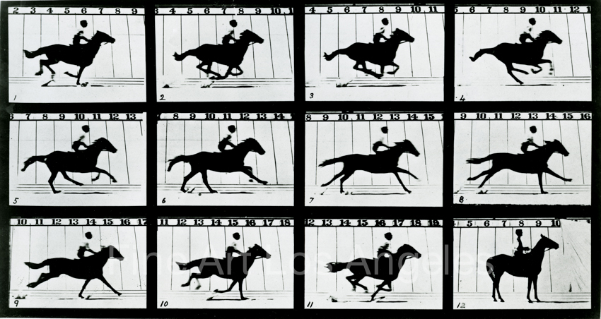 Eadweard Muybridge Photo, Motion Study, horse with rider, 1880s