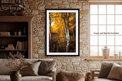 Forest Photography Print – Vertical Picture of Aspen Trees in Wyoming