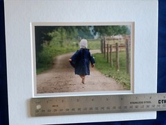 Bill Coleman Amish Photograph – girl walking down lane – Signed & Matted