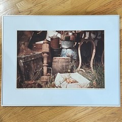 Vintage Art Photography CAROLE STARR SCHEIN Flea Market Original Signed Framed