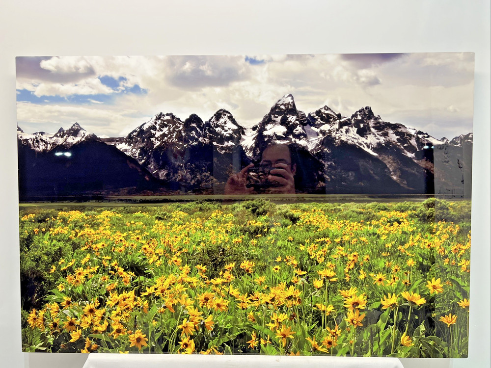 Russ Kerr Majesty Of Birds Wild Life Photographer Grand Teton National Park