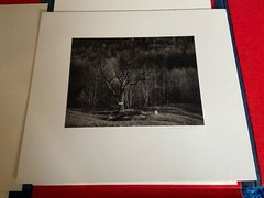 Lot of 5 MARK CITRET Signed Photos With Hardcover Case – Old Halcott Cemetery