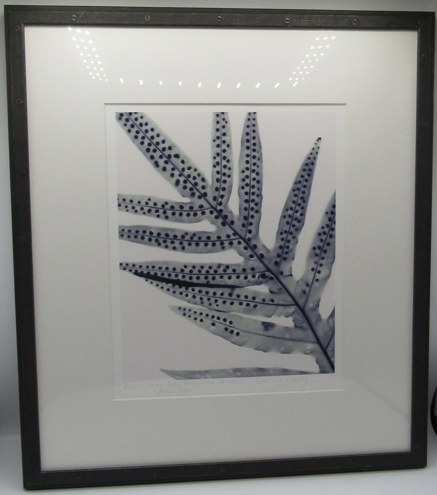 Signed Martha Madigan Lihue Fern photograph botanical photogram 16×19” framed