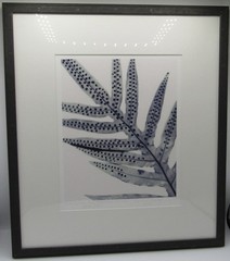 Signed Martha Madigan Lihue Fern photograph botanical photogram 16×19” framed