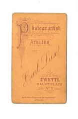 Carl Lux CDV Photo Lady Portrait – Zwettl 1877