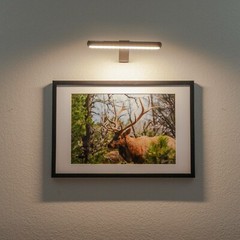 Elk Fine Art 13″ x 19″ Framed Archival Print