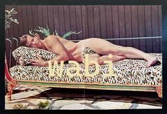 vtg 1966 TED LYRIC STUDIO Young Physique 16×11″ Centerfold beefcake gay art Sale