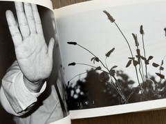 🎈 Signed Nobuyoshi Araki – Shasei Nikki 1991, Japanese First Edition Photobook