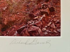 Richard Garrod, color 10×12 image on 16x 20 matte, photography art original