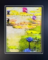 Water Lilies Digital Watercolor Original Photograph 8 X 10 Mat 11 X 14 Signed