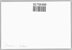 50759698-Genova photo 8.5×13 cm, port, ship Genoa (Genova)