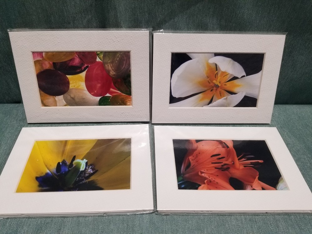 New Lot of 4 Matted 5×7 Photo Fine Art Print spring flower Tulip Yellow Red