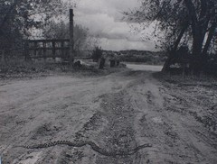 » Snake! » 1982 RAY BELCHER, Silver Gelatin Print , Santa Fe New Mexico