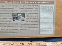 Thomas Mangelsen – Northern Comfort (Signed 1999) 10×14 Framed