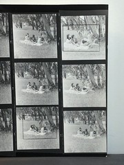 NEWLY FOUND! Hendrickson PHOTO Contact Sheet Proof & Negatives VICTORIAN COUPLES