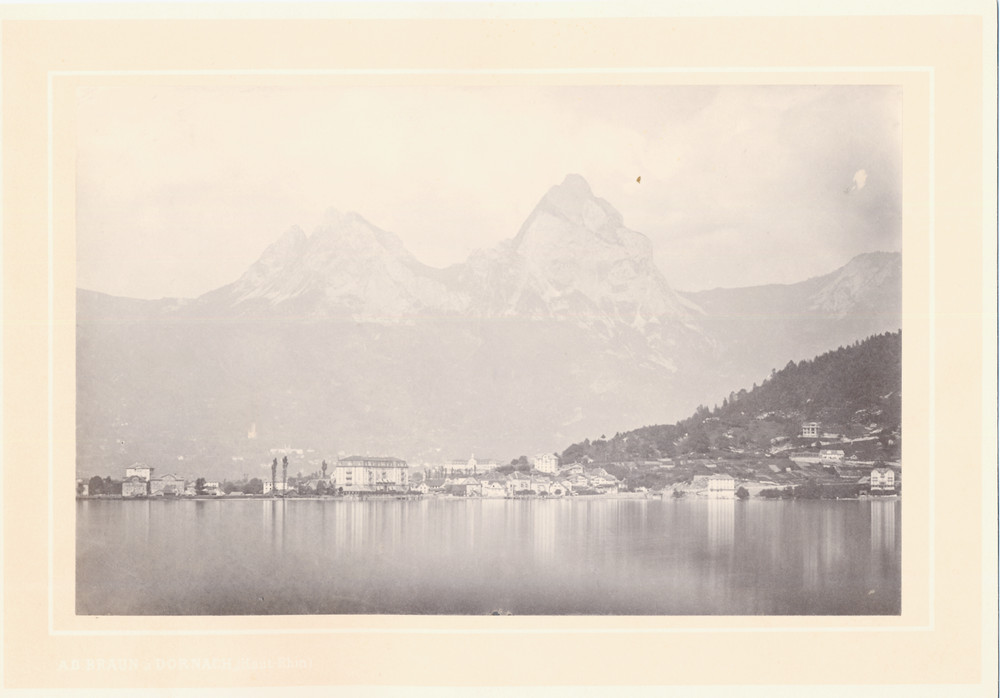 Antique Adolphe Braun 1812–1877 French Photographer Albumen Photograph Dornach