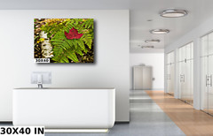 Fall in Keweenaw michigan fern autumn fine art Photography Ansel Adams