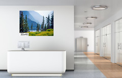 Botanical Wonderland: Summer Wildflowers at Glacier Montana Print