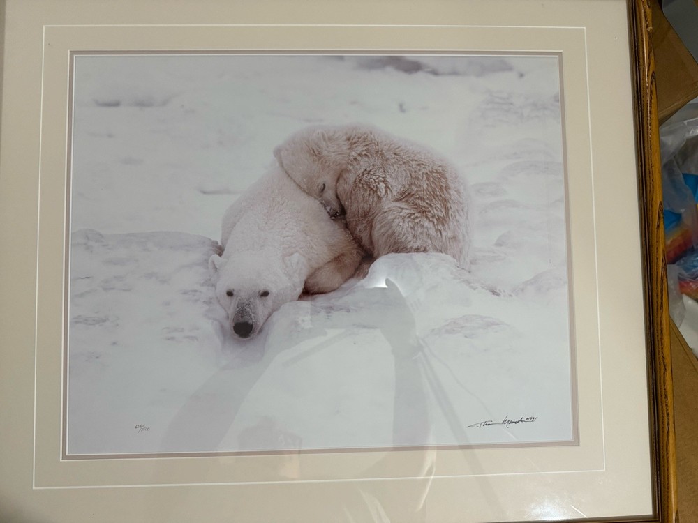 Polar bears By Thomas D Mangelsen Signed 659/1500