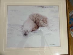 Polar bears By Thomas D Mangelsen Signed 659/1500
