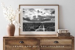 Corn Field Photography Print: Nebraska Black & White Scenic Sky Country Photo