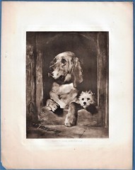 12 EARLY PHOTOGRAVURES ~ N.Y. PHOTOGRAVURE CO.; 1890s ~ SEE DETAILS