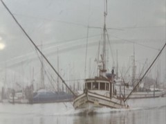 Photograph By Takao Wakida Of Carmel California Shrimp Boat Ship In Harbor