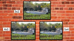 Small Airboat in the Everglades, High Resolution Image, Many Formats, TV Art