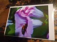 Nature Photography Wall Art