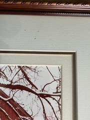 Signed Lee Mann The Barn Yard Framed Photo Print Skagit Valley WA Red Barn Geese