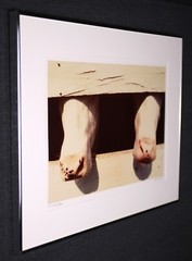 David SOSE «4 Flies», Cows, Fine Art Photography Signed Numbered Framed — AP