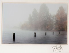 Nature Photography PNW Waterscape 3.5 X 5.5, Seattle Matted Signed