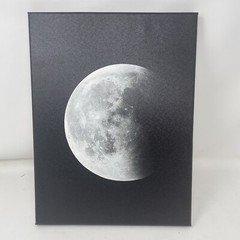 Set of 4 Custom Phases of the Moon Photographs on Canvas Wieco Art