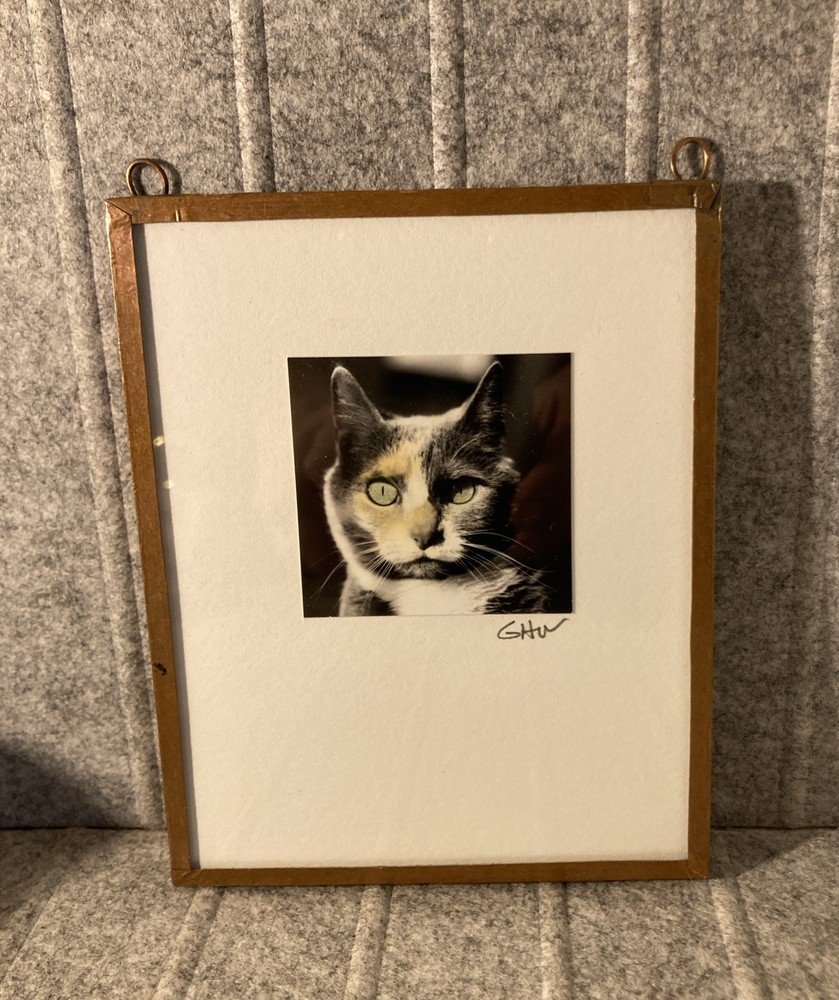 Calico Cat Portrait Soddered Copper Frame Photograph Miniature Artsy Tom Cat