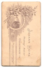 Photograph Joh. Heine, Georgswalde I. B., middle-class lady in dress with trim