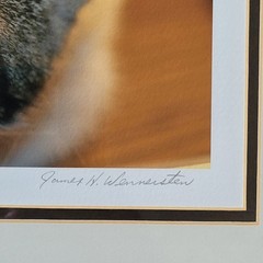 «Waiting For The Call» Limited Edition Signed Photograph By James H. Wennersten
