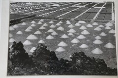 Printing Photo Analogue Marais Salant 1970 15 11/16X19 11/16in