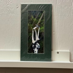Triple Falls Oregon Waterfall Photo Signed Sherrill Columbia Gorge Hiking PNW