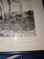 Original 1920 Hand Signed Leopold Hugo ‘Monterey Cypresses» Silver Photo Framed