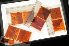 Photo Negative Bundle View Colour France Castle Beach Boat Pictures Ocean Lot