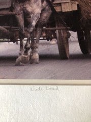 Bill Coleman Amish Children “Wide Load” 4/350 Numbered Framed Photograph
