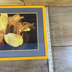 JEB Framed Photography Color Still Life Canna Lily 22-3/4” x 16-3/4” x 5/8”