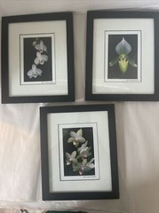 Floral Art Prints 35mm Photographs Framed Art Signed Randall Shedd Set Of 3